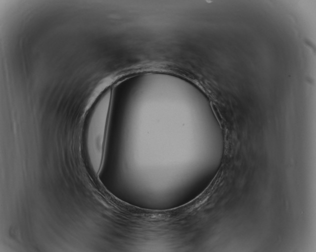 X0000092320056200709141059