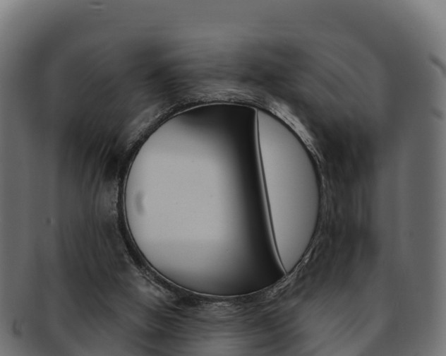 X0000092320058200709141059