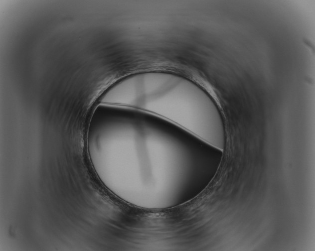 X0000092320059200709141059