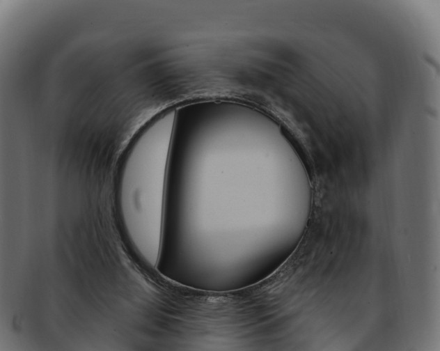 X0000092320060200709141059