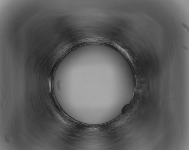 X0000092320061200709141059