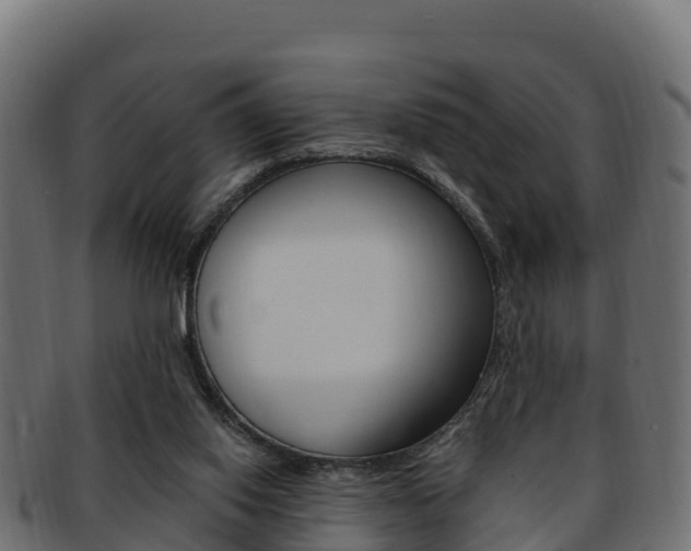 X0000092320062200709141059