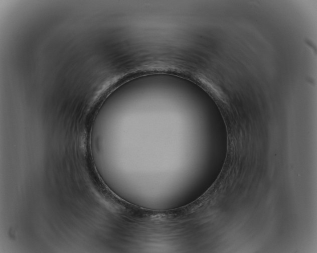 X0000092320064200709141059
