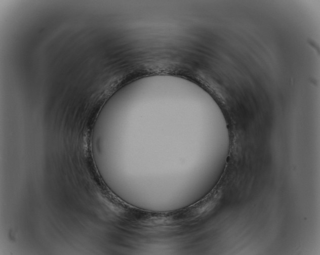 X0000092320065200709141059