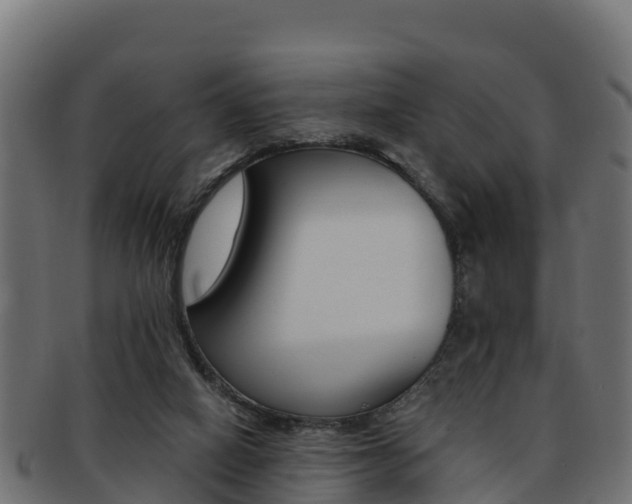 X0000092320066200709141059