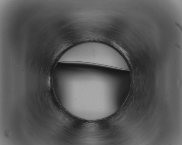 X0000092320067200709141059