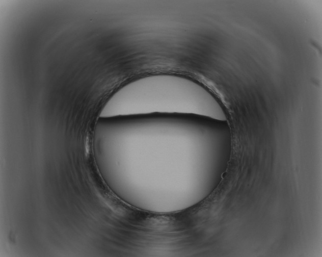 X0000092320069200709141059