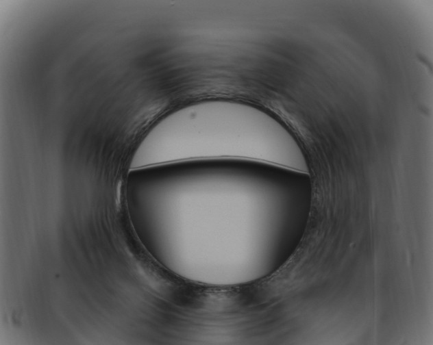 X0000092320070200709141059