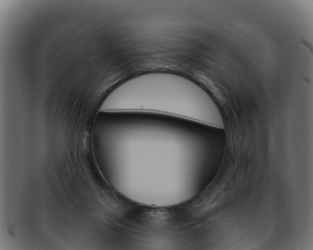 X0000092320071200709141059