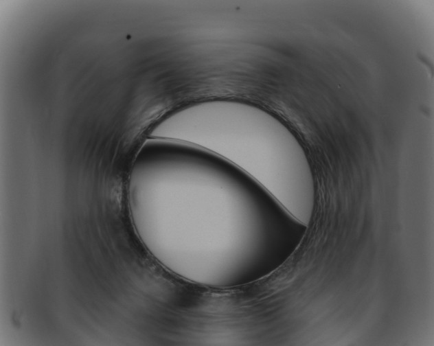 X0000092320072200709141059