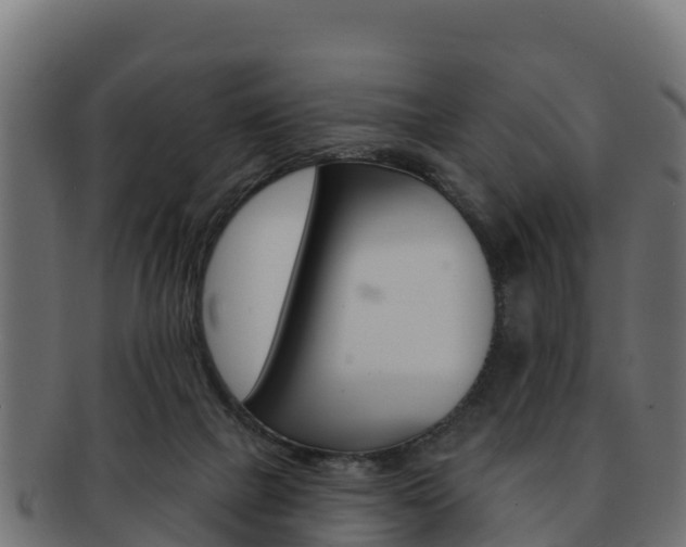 X0000092320073200709141059