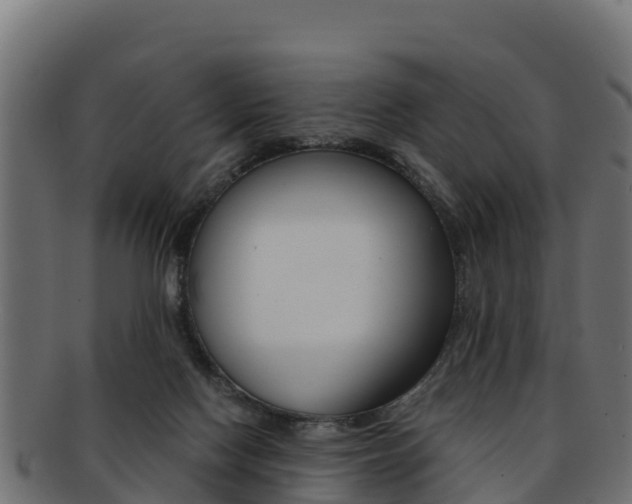 X0000092320074200709141059