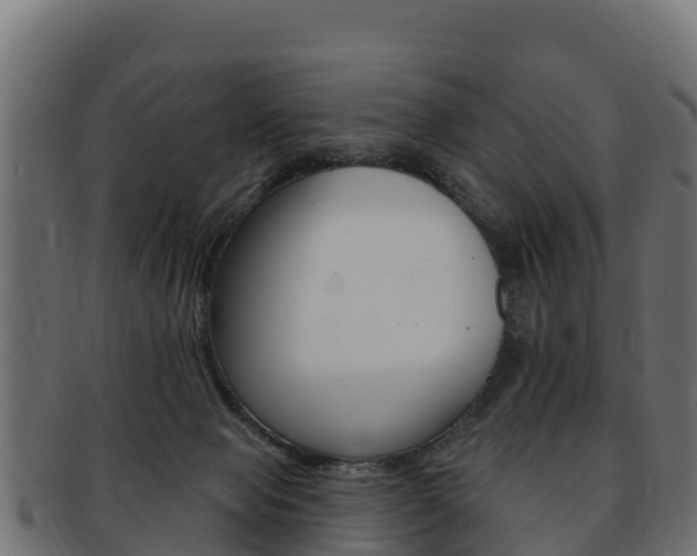 X0000092320077200709141059