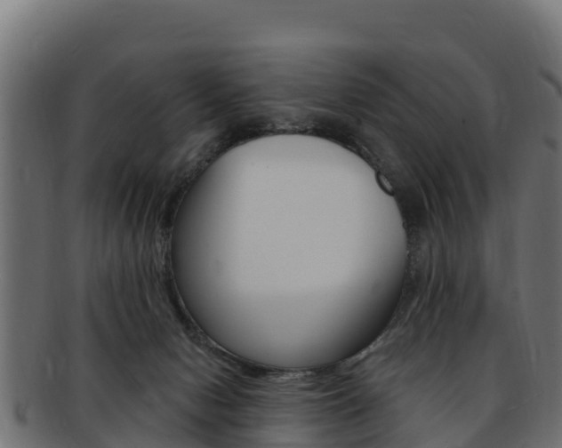 X0000092320078200709141059