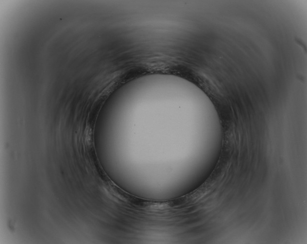 X0000092320081200709141059
