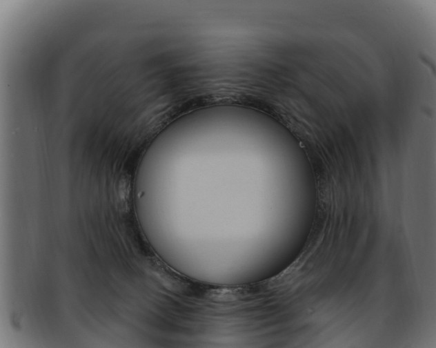 X0000092320082200709141059