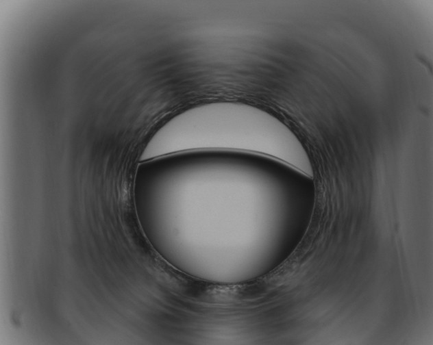 X0000092320084200709141059