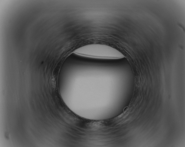 X0000092320086200709141059