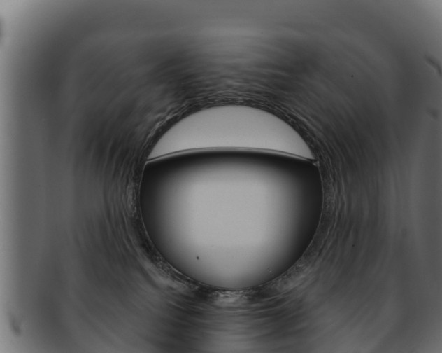 X0000092320088200709141059