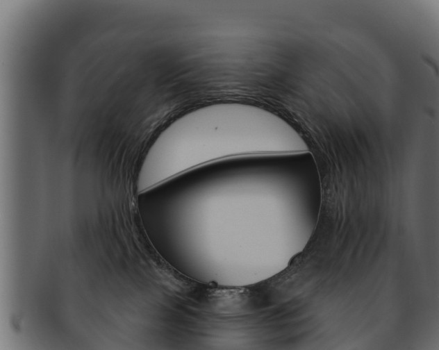 X0000092320089200709141059
