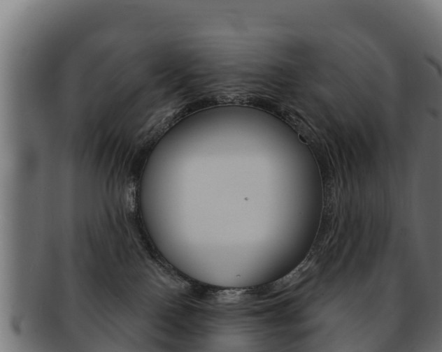 X0000092320090200709141059