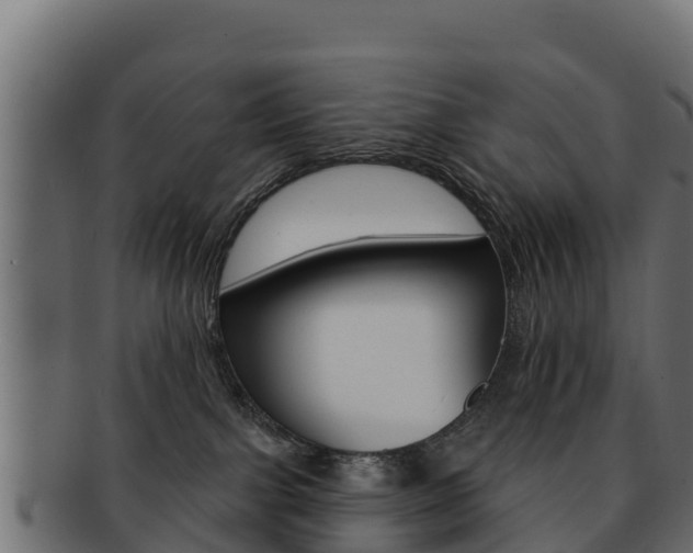X0000092320091200709141059