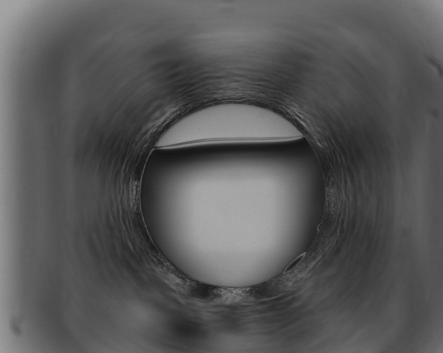 X0000092320093200709141059