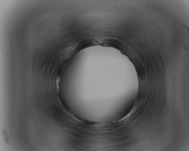 X0000092320094200709141059