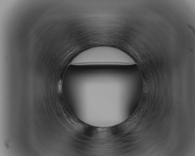 X0000092320095200709141059