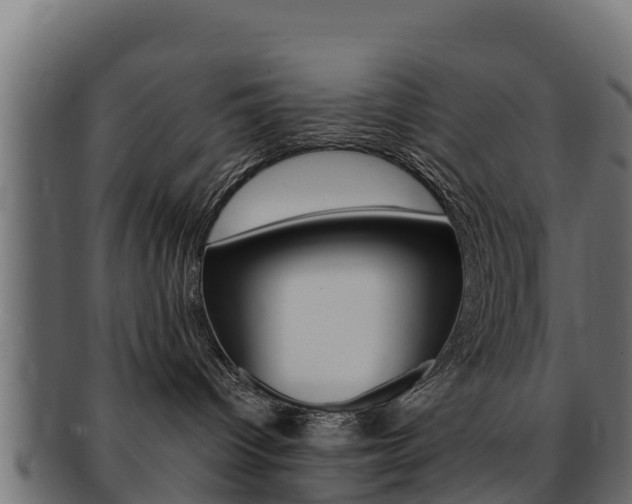 X0000092320096200709141059