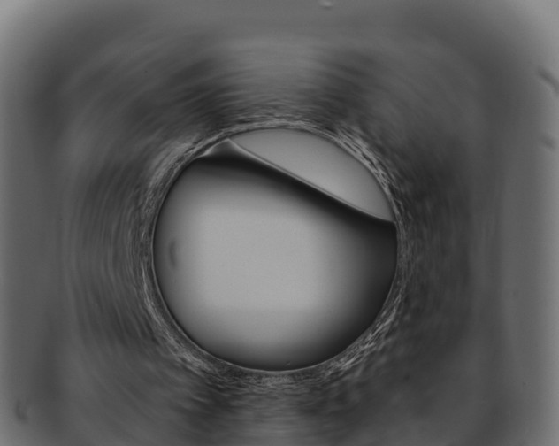 X0000092320097200709141059