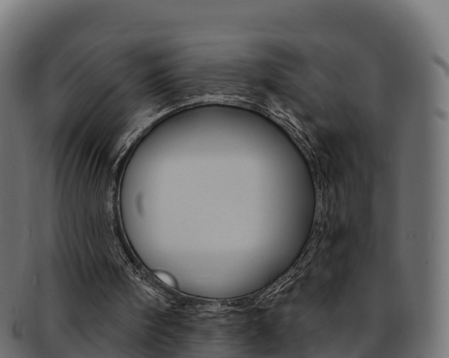 X0000092320098200709141059