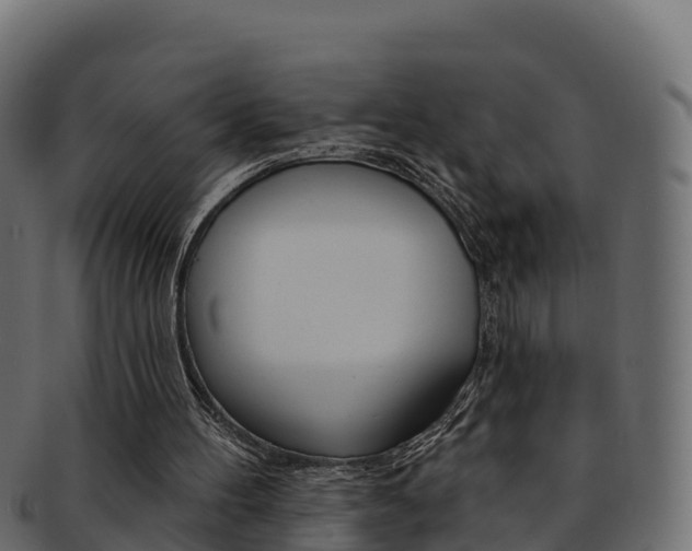 X0000092320100200709141059
