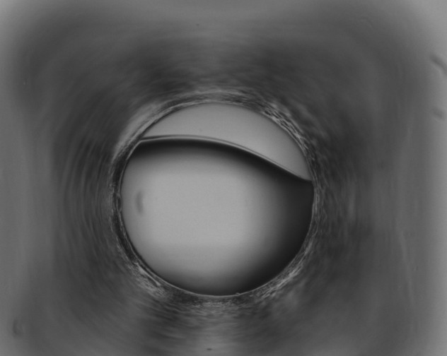X0000092320101200709141059