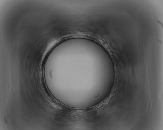X0000092320102200709141059