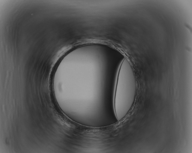 X0000092320104200709141059