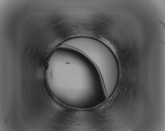 X0000092320105200709141059