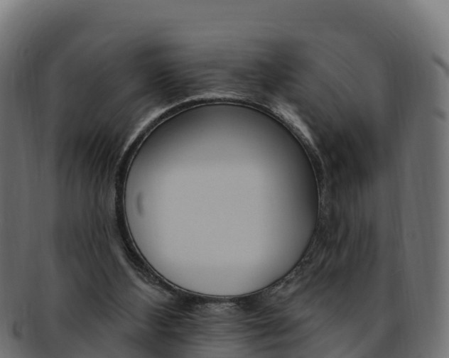X0000092320108200709141059