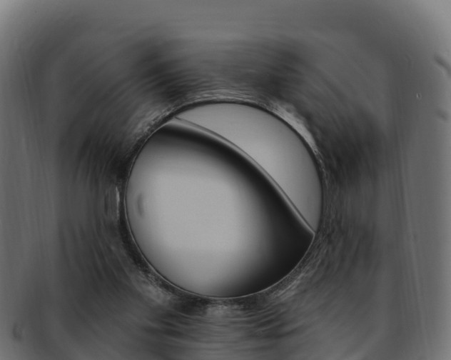 X0000092320109200709141058