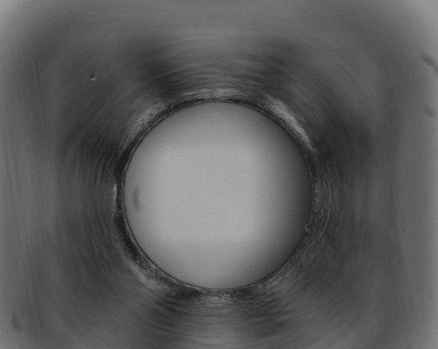 X0000092320110200709141058