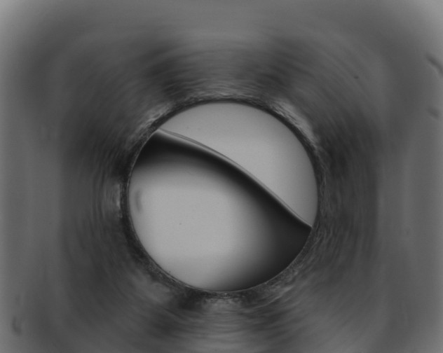 X0000092320115200709141058