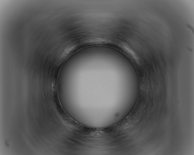 X0000092320119200709141058