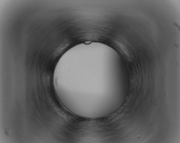 X0000092320120200709141058