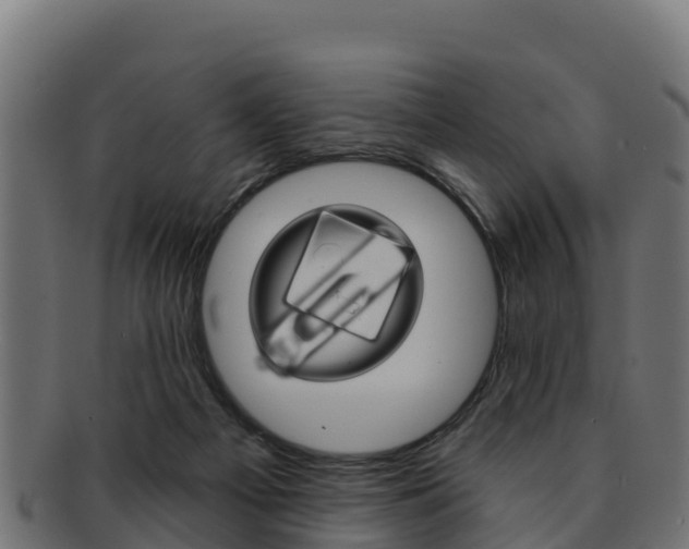 X0000092320121200709141058