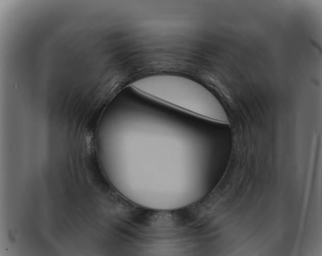 X0000092320123200709141058