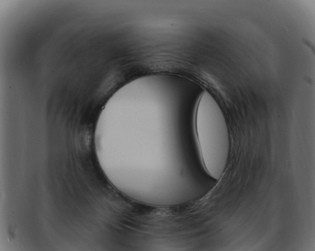 X0000092320124200709141058