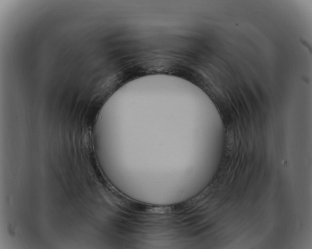 X0000092320126200709141058