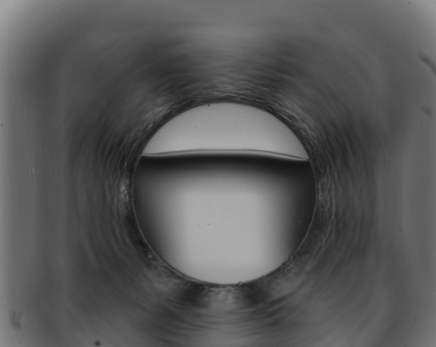 X0000092320127200709141058