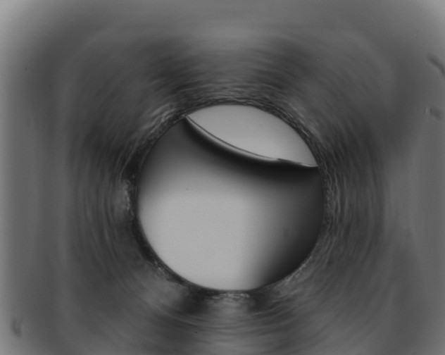 X0000092320128200709141058