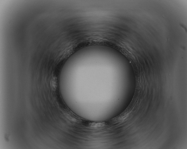 X0000092320135200709141058